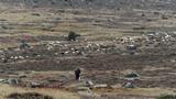 miniature-IMG_8857.jpg