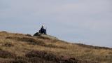 miniature-IMG_8860.jpg