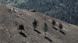 miniature-IMG_8870.jpg