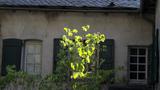 miniature-IMG_8871.jpg