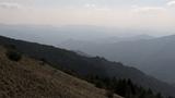 miniature-IMG_8886.jpg