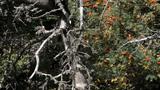 miniature-IMG_8887.jpg