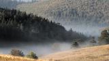 miniature-IMG_8889.jpg
