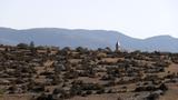 miniature-IMG_8917.jpg