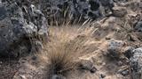 miniature-IMG_8945.jpg