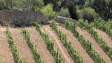 miniature-IMG_8953.jpg