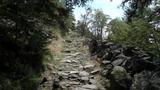 miniature-IMG_7643.jpg