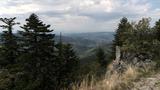 miniature-IMG_7644.jpg
