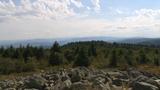 miniature-IMG_7652.jpg