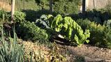 miniature-IMG_7663.jpg