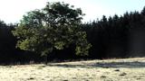 miniature-IMG_7668.jpg