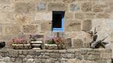 miniature-IMG_7676.jpg