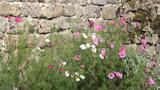 miniature-IMG_7680.jpg