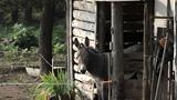 miniature-IMG_7690.jpg