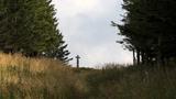 miniature-IMG_7720.jpg