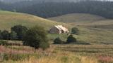 miniature-IMG_7737.jpg