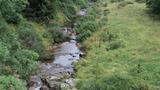 miniature-IMG_7739.jpg