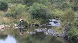 miniature-IMG_7741.jpg