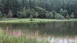 miniature-IMG_7742.jpg