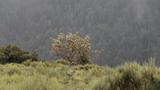 miniature-IMG_7751.jpg