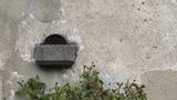 miniature-IMG_7773.jpg