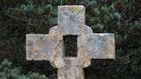 miniature-IMG_7783.jpg