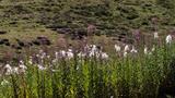 miniature-IMG_7819.jpg