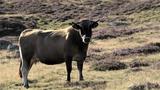 miniature-IMG_7820.jpg