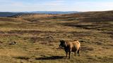 miniature-IMG_7821.jpg