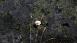 miniature-IMG_7822.jpg