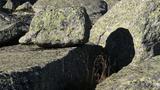 miniature-IMG_7829.jpg