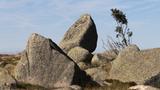miniature-IMG_7839.jpg