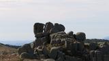 miniature-IMG_7840.jpg