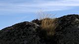 miniature-IMG_7841.jpg