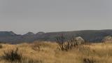 miniature-IMG_7864.jpg