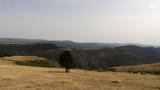 miniature-IMG_7878.jpg