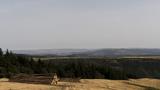 miniature-IMG_7879.jpg