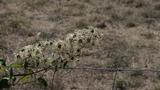 miniature-IMG_7916.jpg