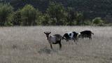miniature-IMG_7948.jpg