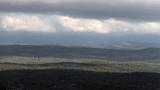 miniature-IMG_7980.jpg