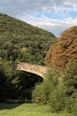 miniature-IMG_7992.jpg
