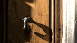 miniature-IMG_8002.jpg