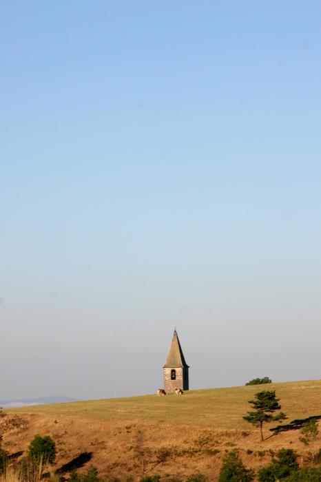 n_IMG_2955.jpg