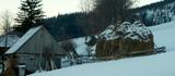 miniature-img_5923_2-1000.jpg
