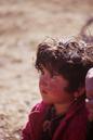 miniature-Tad123img015.jpg