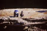 miniature-Tad155img011.jpg