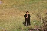 miniature-Tad168img024.jpg