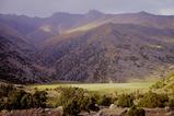 miniature-Tad246img030.jpg