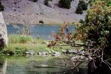 miniature-Tad279img026.jpg