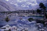miniature-Tad285img032.jpg